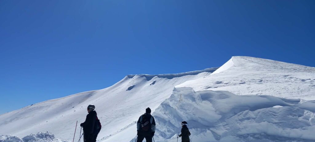 Δεν υπάρχει διαθέσιμη περιγραφή.